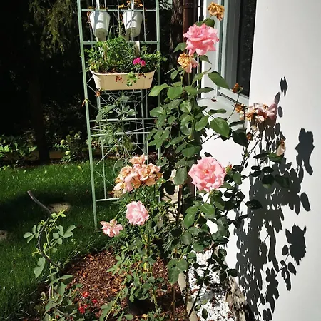 Fairy Tale On Water Stream, 30 Minutes From South Prague * Davle