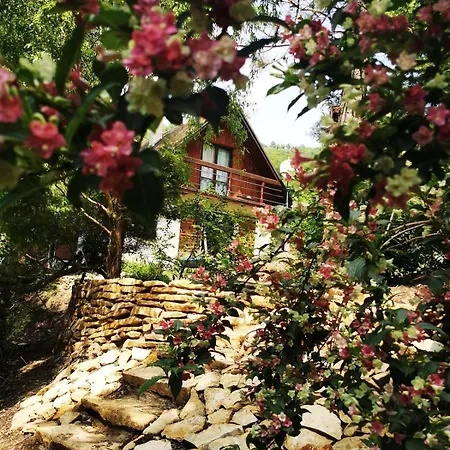 Fairy Tale On Water Stream, 30 Minutes From South Prague Tatil Evi *