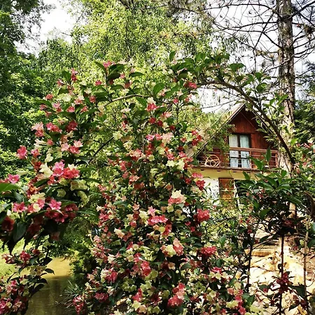 Fairy Tale On Water Stream, 30 Minutes From South Prague * Davle